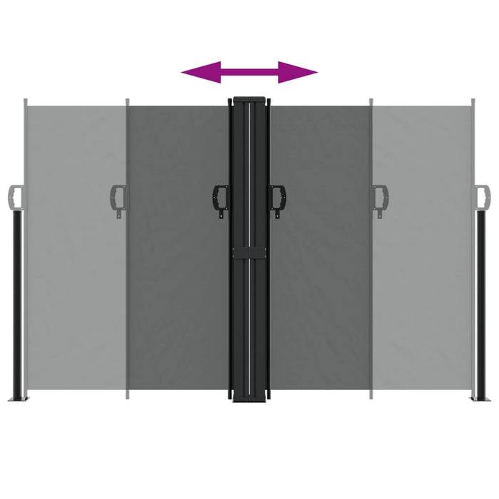 Tenda da Sole Laterale Retrattile Antracite 160x1200 cm 4004823