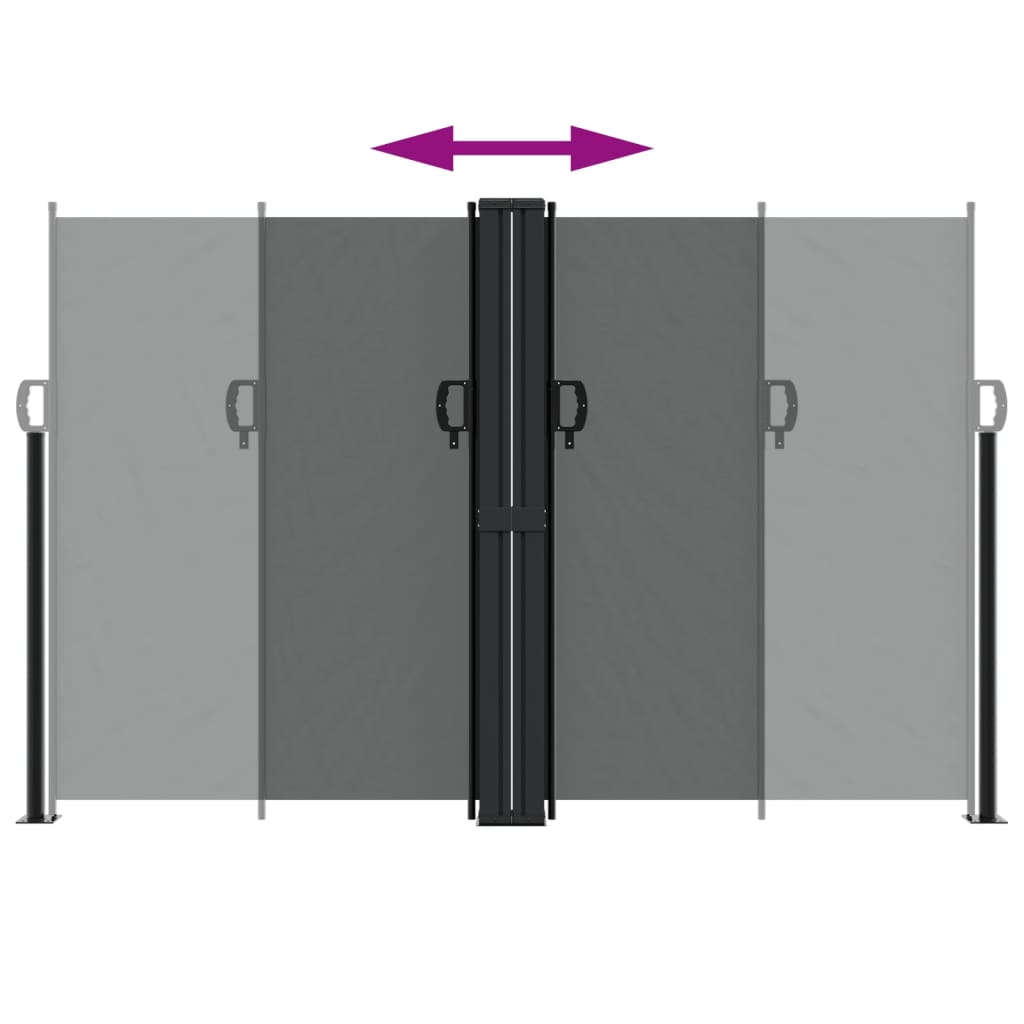 Tenda da Sole Laterale Retrattile Antracite 160x1200 cm 4004823