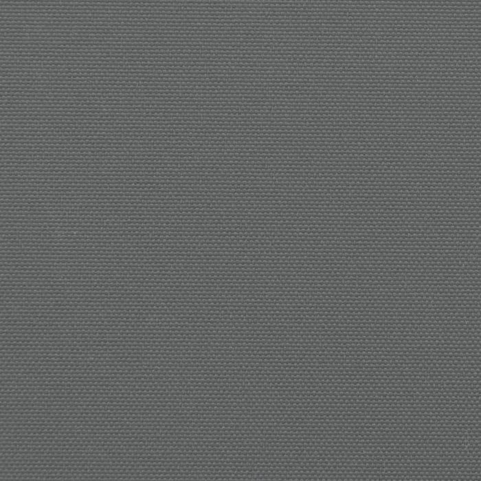 Tenda da Sole Laterale Retrattile Antracite 160x1200 cm 4004823