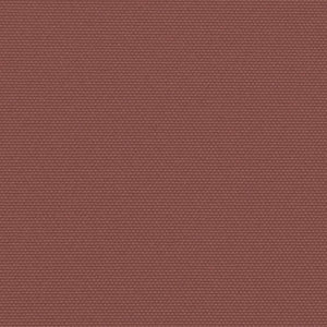 Tenda da Sole Laterale Retrattile Marrone 160x1200 cm 4004824