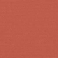 Tenda da Sole Laterale Retrattile Terracotta 160x1200 cm 4004828