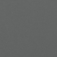 Tenda da Sole Laterale Retrattile Antracite 180x1200 cm 4004838