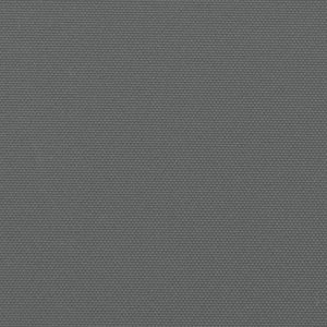 Tenda da Sole Laterale Retrattile Antracite 180x1200 cm 4004838