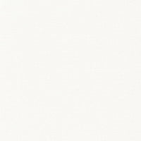 Ombrellone Giardino con Palo in Acciaio Bianco 268x268x226 cm 4005104