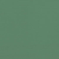 Tendone per Feste Pieghevole Pop-Up con 2 Pareti Verde 4004992