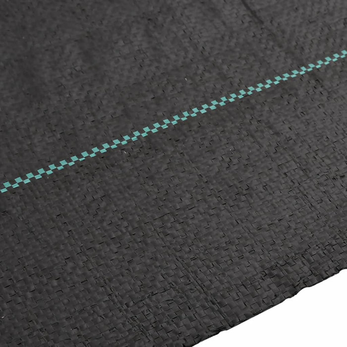 Membrana Antierbacce Nera 1x10 m in PP 4005179