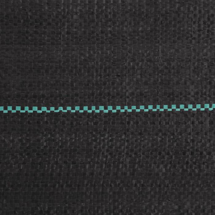 Membrana Antierbacce Nera 1,5x10 m in PP