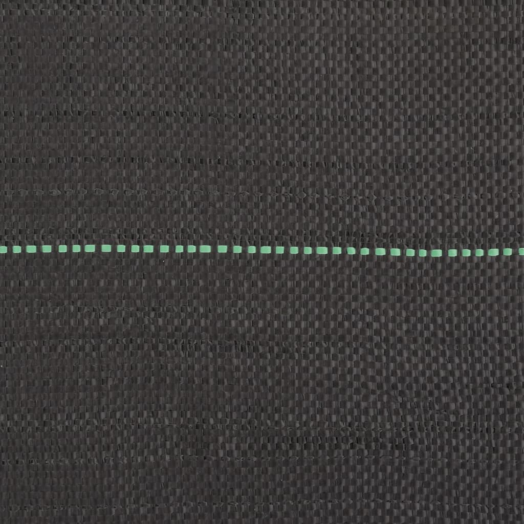 Membrana Antierbacce Nera 0,5x150 m in PP