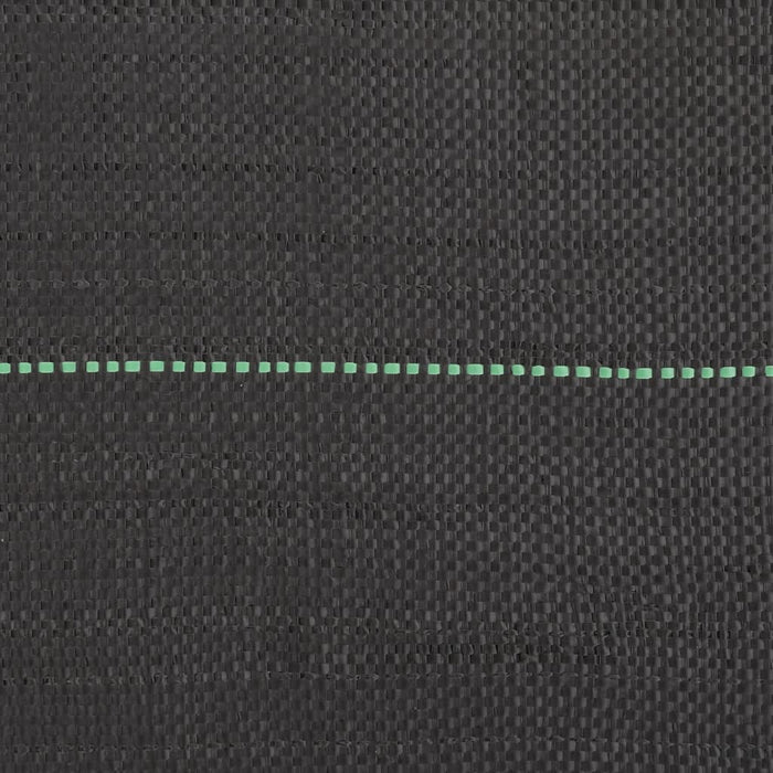 Membrana Antierbacce Nera 1x25 m in PP