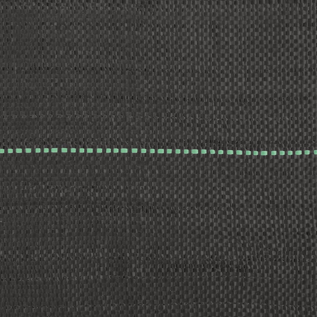 Membrana Antierbacce Nera 1x100 m in PP