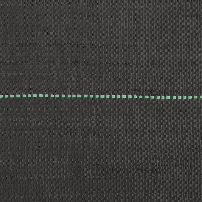 Membrana Antierbacce Nera 1x100 m in PP