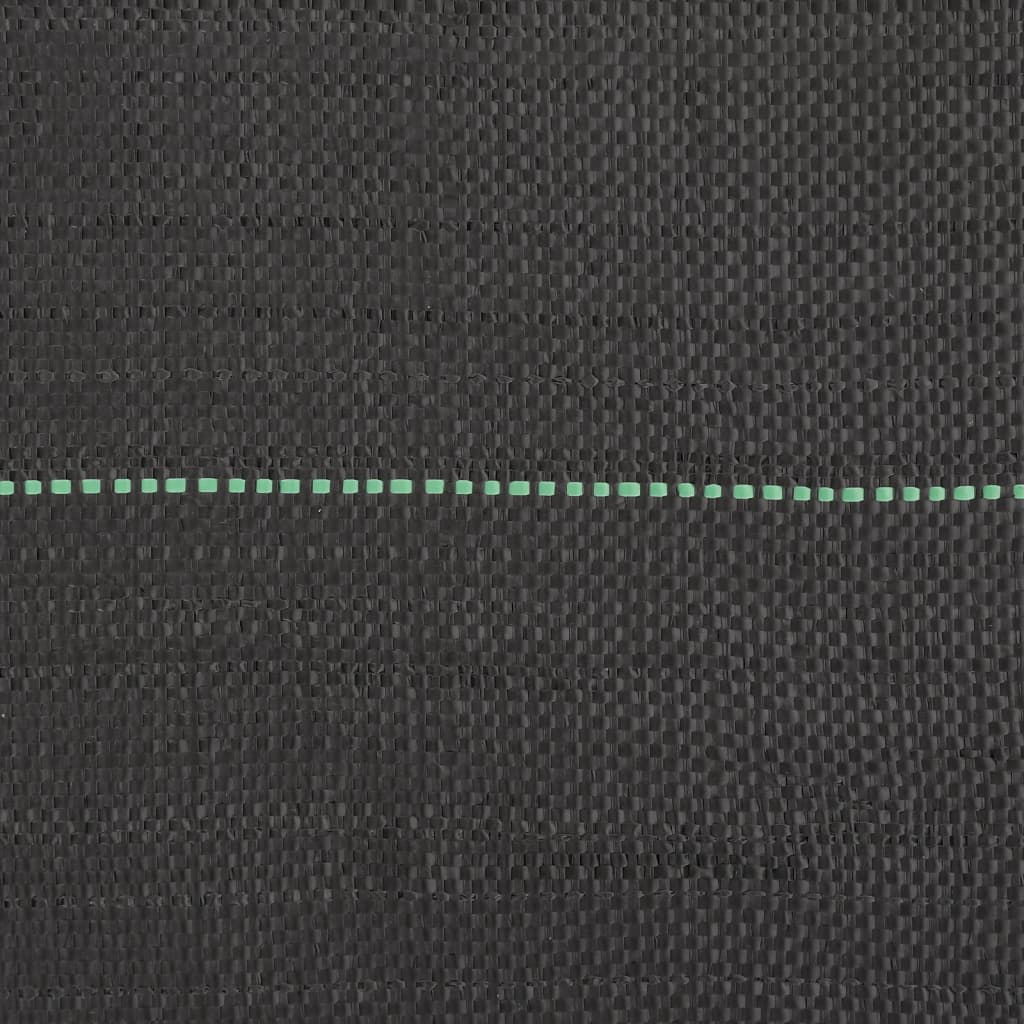 Membrana Antierbacce Nera 1x150 m in PP