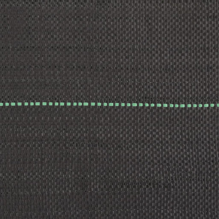 Membrana Antierbacce Nera 1,5x25 m in PP