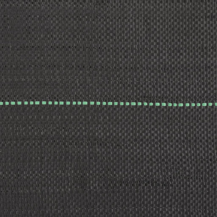 Membrana Antierbacce Nera 2x10 m in PP