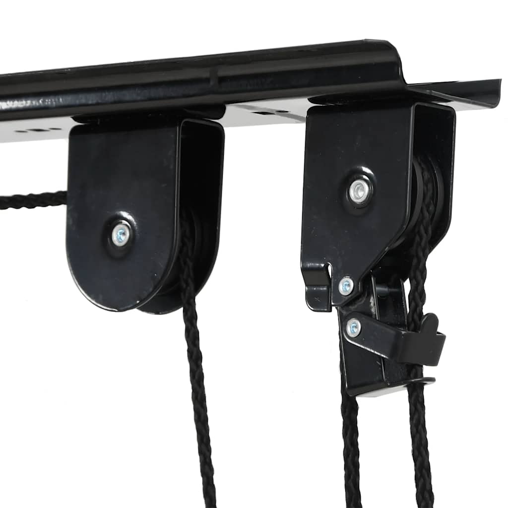 Sollevatori per Bici con Supporto a Soffitto 2 pz 20 kg 156339