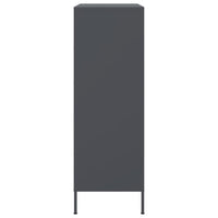 Credenza-Buffet-Armadio da cucina Antracite 68x39x113 cm in Acciaio 174390