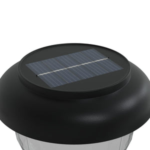 Luci Solari per Percorsi con Picchetti 4 pz Bianco Caldo ed RGB 4008189