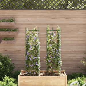 Sostegno per Pomodori 2pz 116 cm in Acciaio e PP 4009283