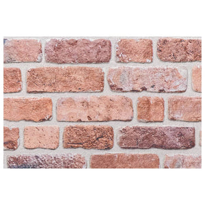 Pannelli Murali 3D 10 pz Rosso 100x50 cm EPS