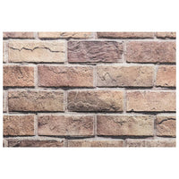 Pannelli Murali 3D 10 pz Marrone 100x50 cm EPS 4008547