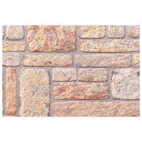 Pannelli Murali 3D 10 pz Marrone 100x50 cm EPS