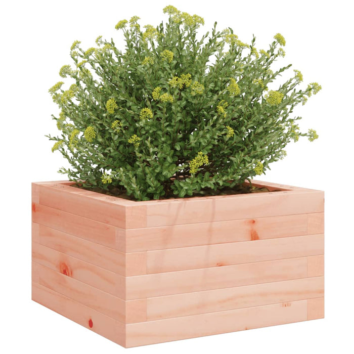 Fioriera da Giardino 40x40x23 cm in Legno Massello di Douglas 847181