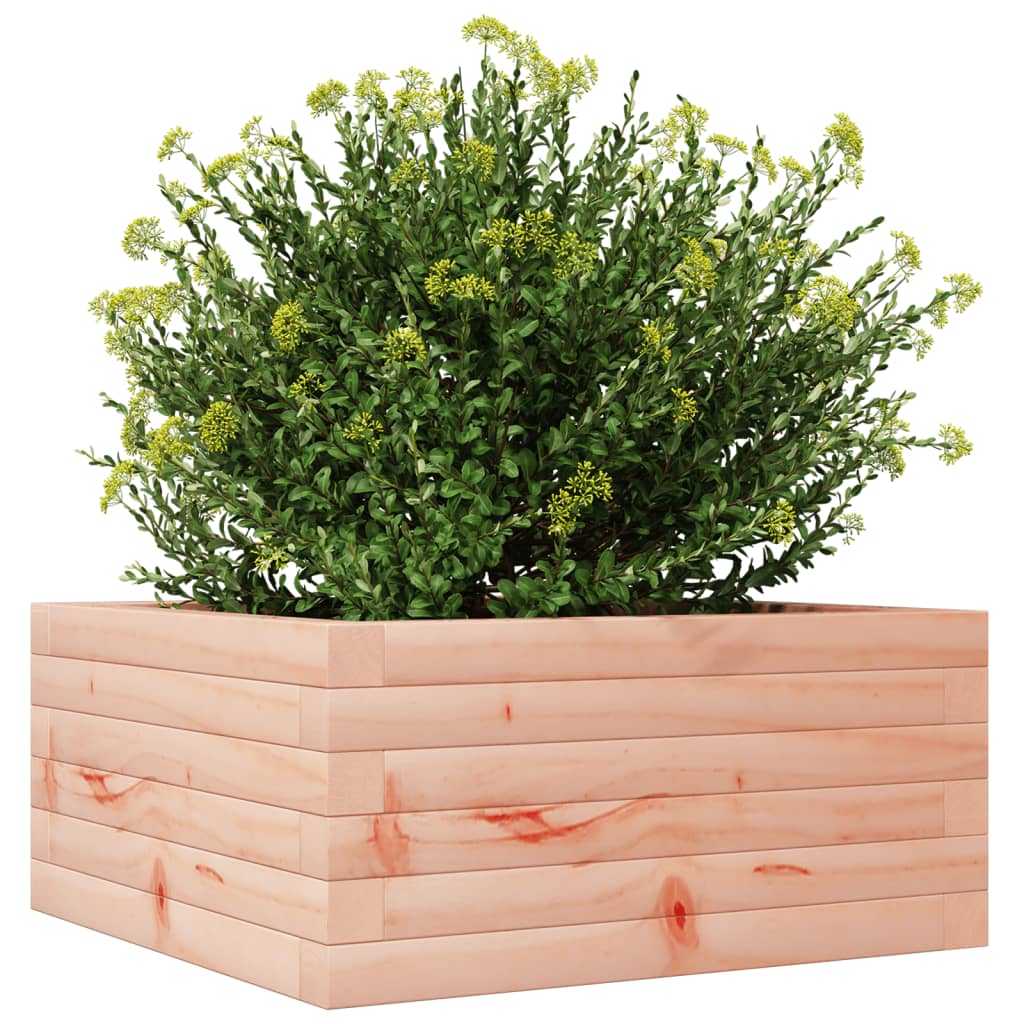 Fioriera da Giardino 50x50x23 cm in Legno Massello di Douglas 847186