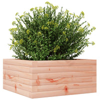 Fioriera da Giardino 50x50x23 cm in Legno Massello di Douglas 847186