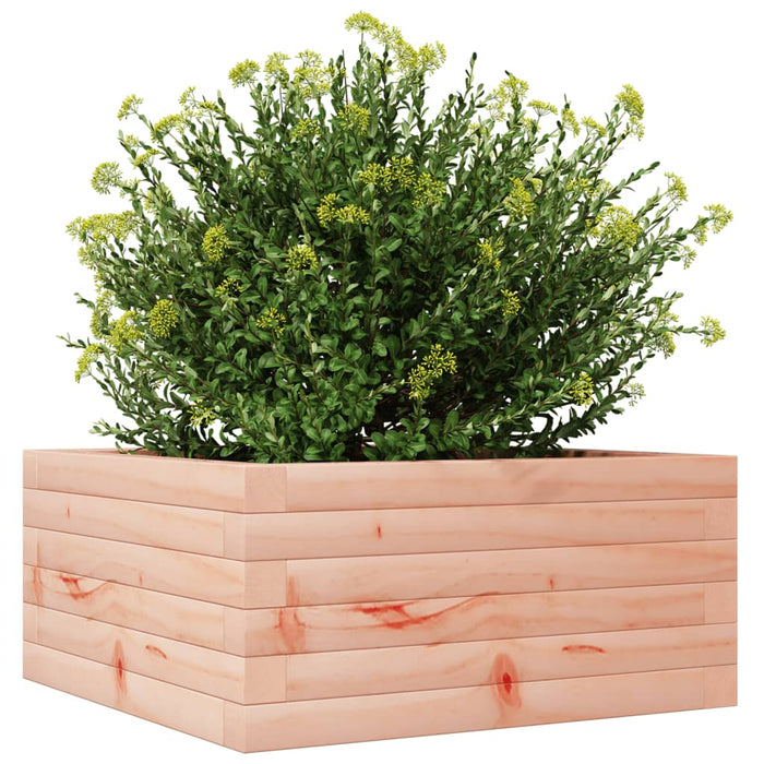 Fioriera da Giardino 50x50x23 cm in Legno Massello di Douglas 847186