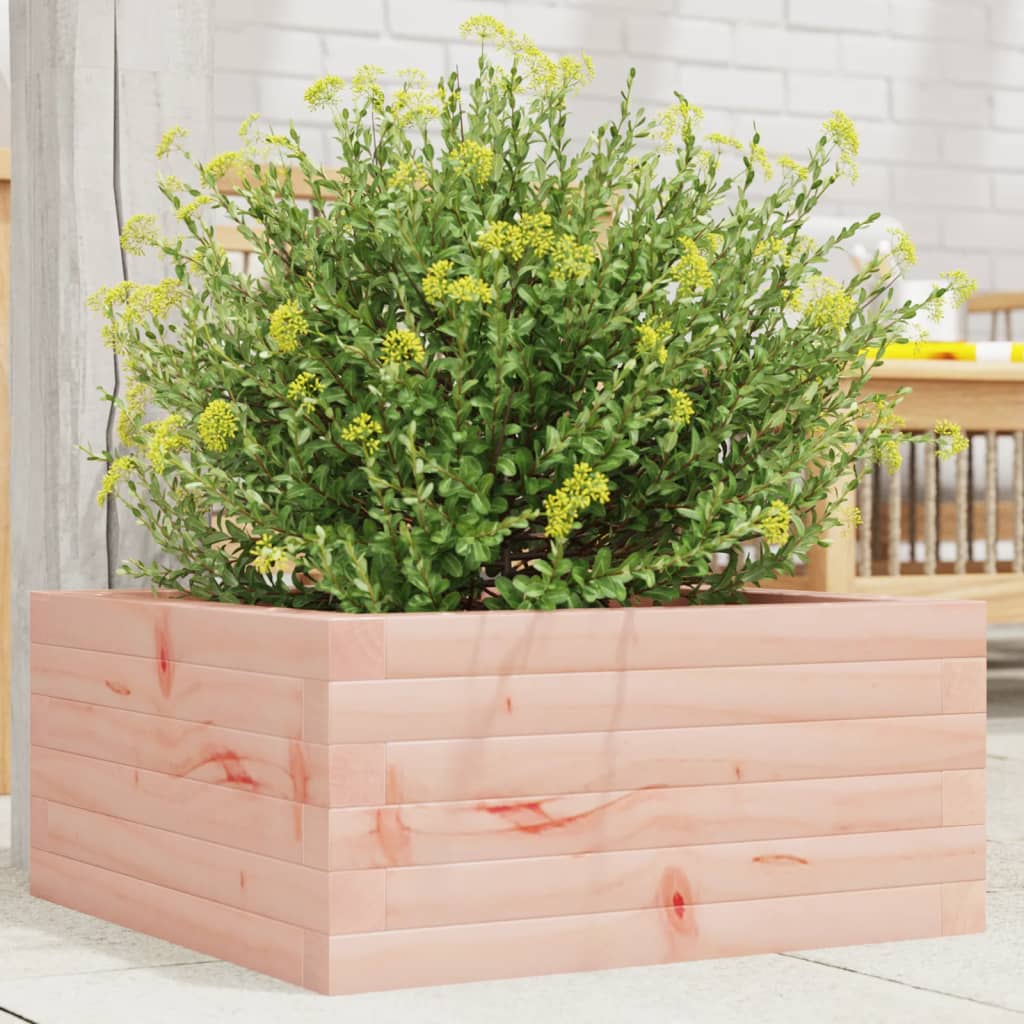 Fioriera da Giardino 50x50x23 cm in Legno Massello di Douglas 847186