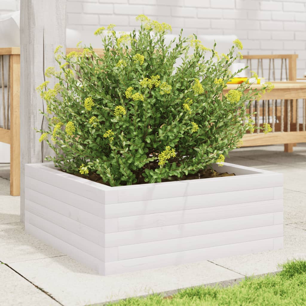Fioriera da Giardino Bianca 60x60x23 cm Legno Massello di Pino