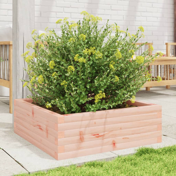 Fioriera da Giardino 70x70x23 cm in Legno Massello di Douglas 847196