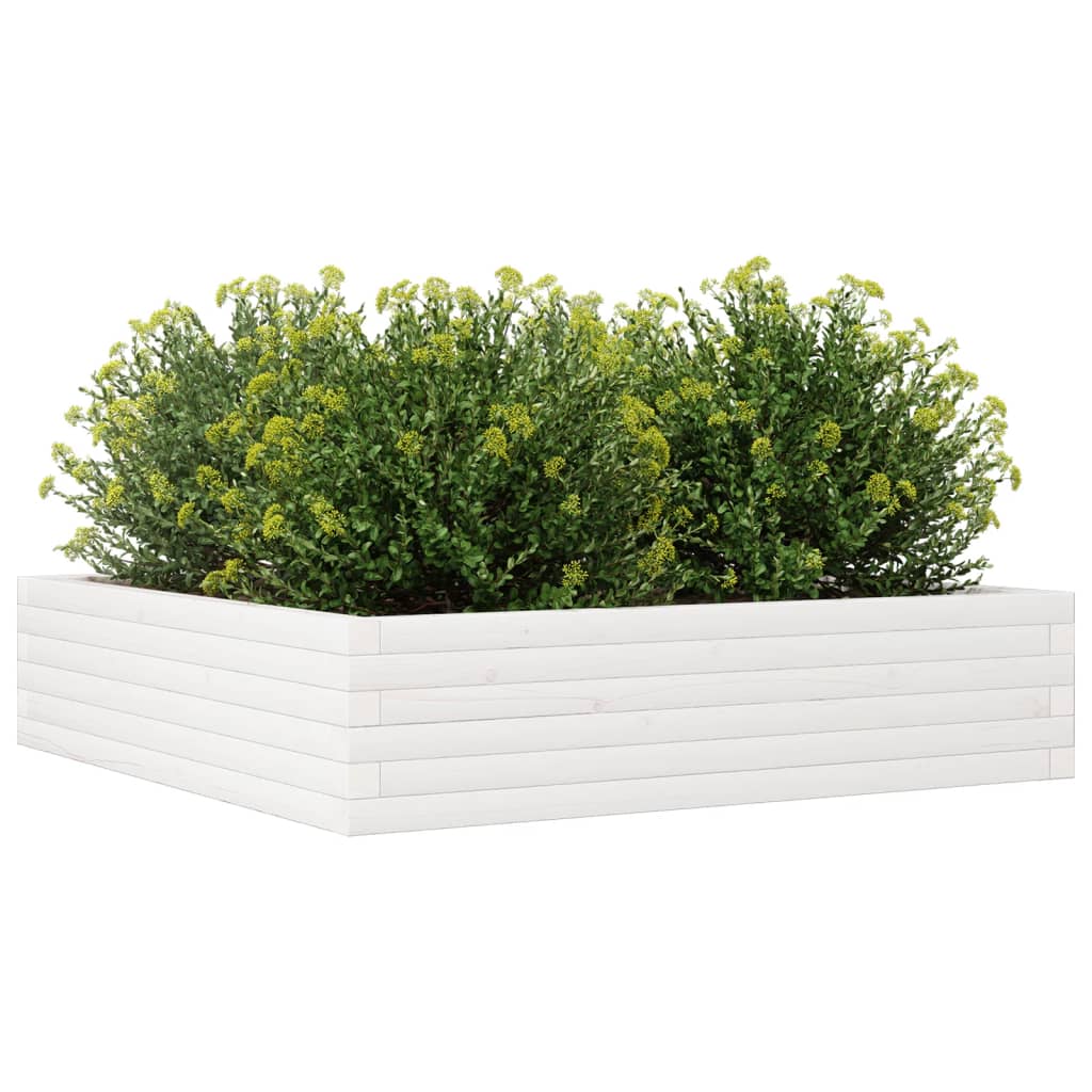 Fioriera da Giardino Bianca 100x100x23 cm Legno Massello Pino