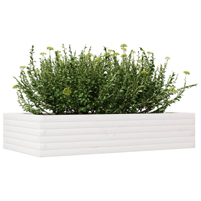 Fioriera da Giardino Bianca 110x60x23 cm Legno Massello Pino 847239