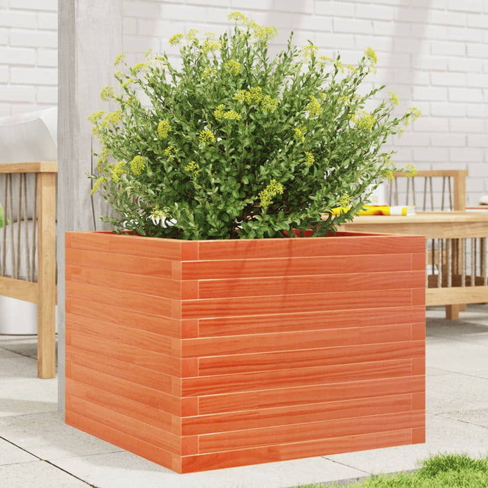 Fioriera Giardino-Vaso da Esterno-Contenitore per Piante Marrone Cera 60x60x45,5cm Legno Massello Pino