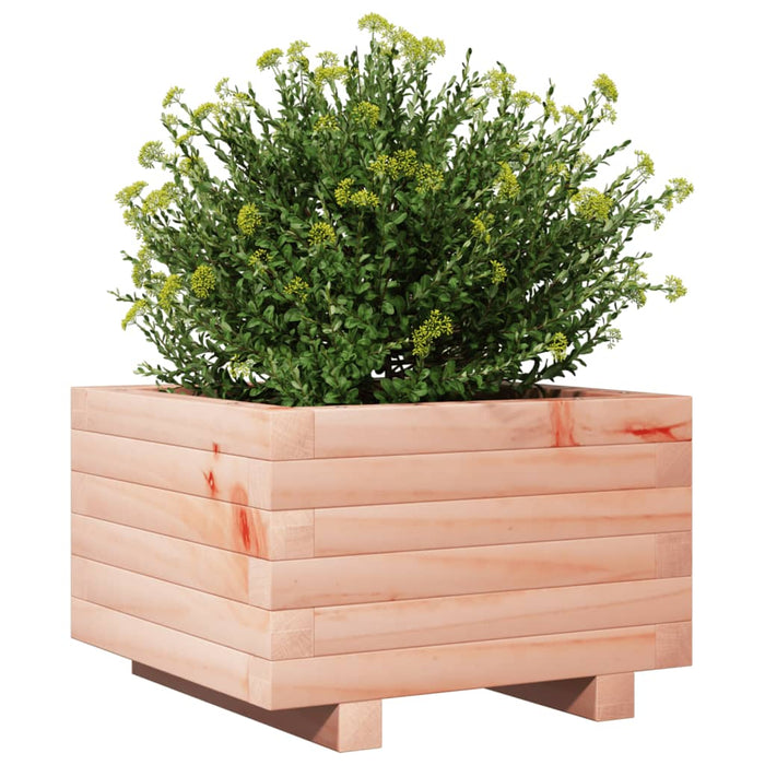 Fioriera da Giardino 40x40x26,5 cm in Legno Massello di Douglas 847291