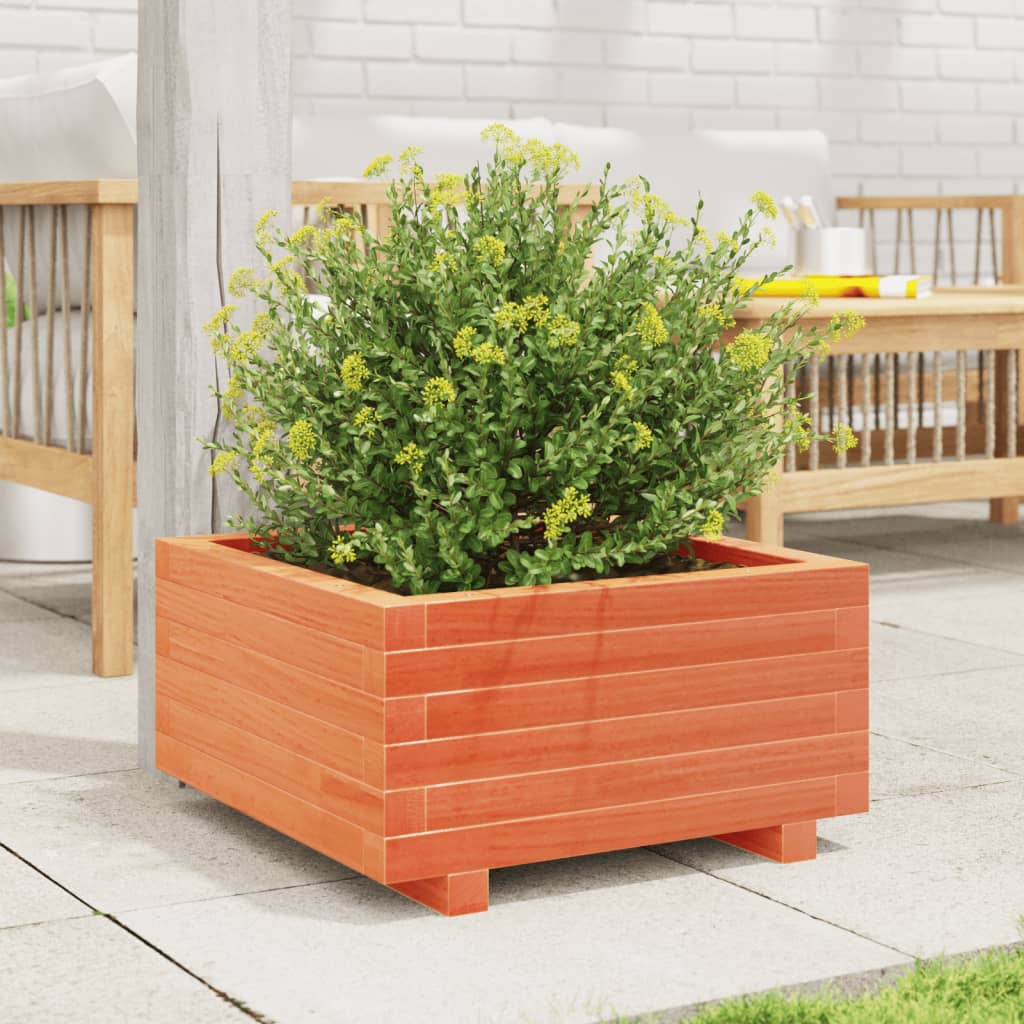 Fioriera Giardino-Vaso da Esterno-Contenitore per Piante Marrone Cera 50x50x26,5cm Legno Massello Pino