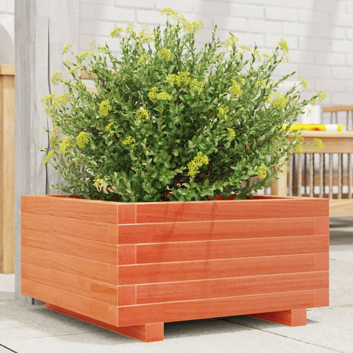 Fioriera Giardino-Vaso da Esterno-Contenitore per Piante Marrone Cera 50x50x26,5cm Legno Massello Pino