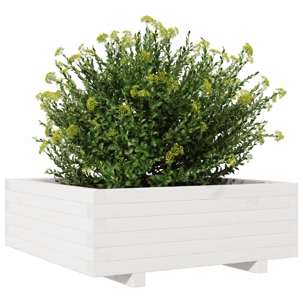 Fioriera da Giardino Bianca 70x70x26,5cm Legno Massello di Pino 847304