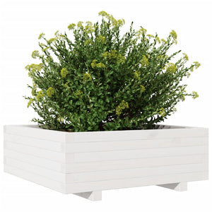Fioriera da Giardino Bianca 70x70x26,5cm Legno Massello di Pino 847304