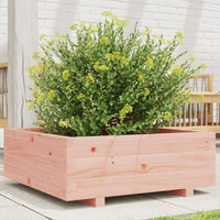 Fioriera da Giardino 70x70x26,5 cm in Legno Massello di Douglas 847306