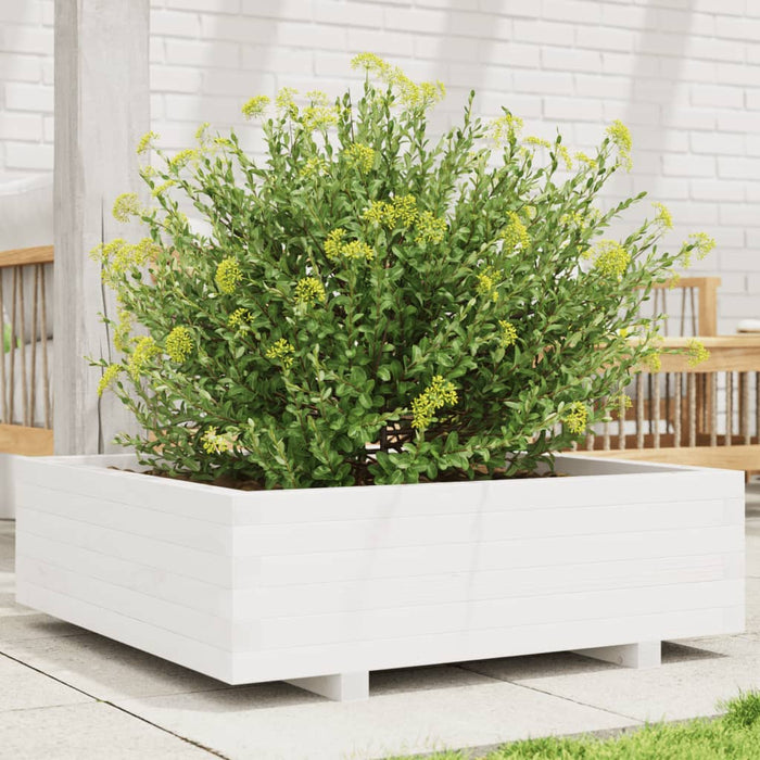 vidaXL Fioriera da Giardino Bianca 80x80x26,5cm Legno Massello di Pino