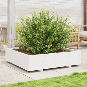 Fioriera da Giardino Bianca 100x100x26,5cm Legno Massello Pino 847319