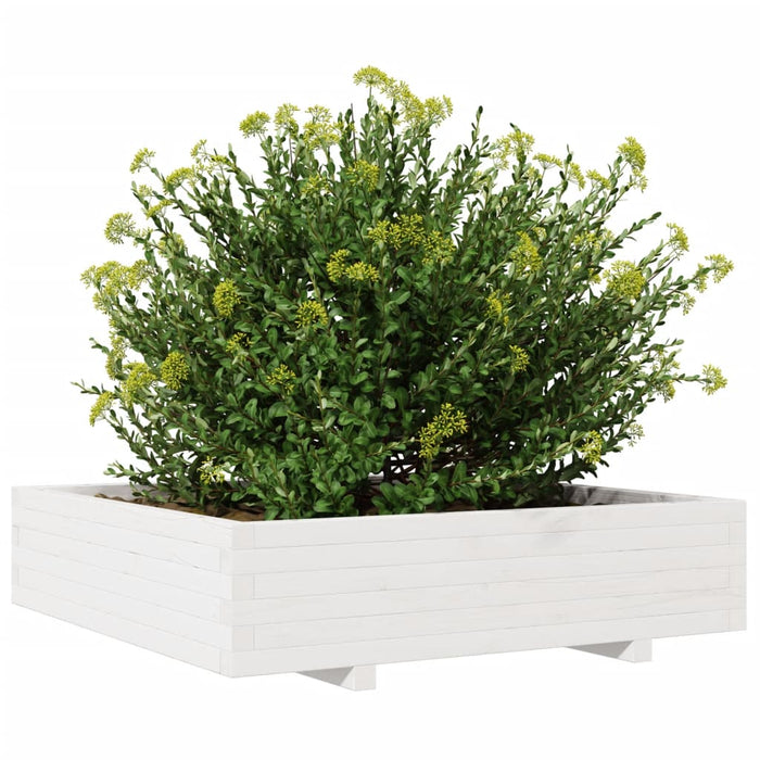 Fioriera da Giardino Bianca 100x100x26,5cm Legno Massello Pino 847319