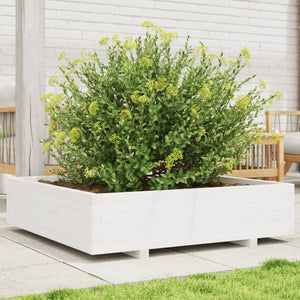 Fioriera da Giardino Bianca 100x100x26,5cm Legno Massello Pino 847319