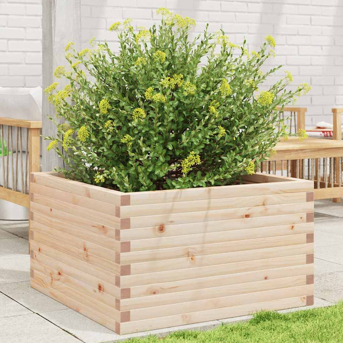 Fioriera da Giardino 80x80x46 cm in Legno Massello di Pino 3282419