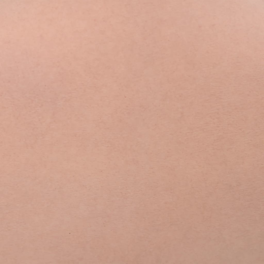 vidaXL Corpetto in Silicone Naturale Coppa C