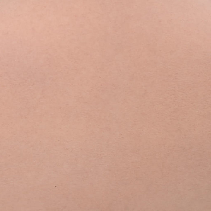 vidaXL Corpetto in Silicone Naturale Coppa C