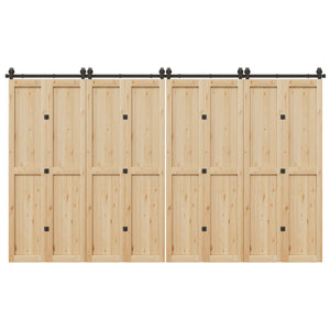 Kit di Binari per Porte Scorrevoli 366 cm Acciaio Nero 3295801