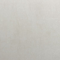 Fioriera Rialzata da Giardino-Vaso da Esterno-Fioriera Elevata 100x100x18,5 cm in Acciaio Inox